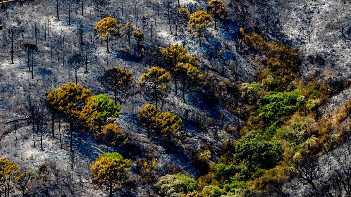 Video: V Andalusii dál zuří lesní požáry, tisíce lidí musely uprchnout